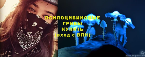 соль ск Бородино