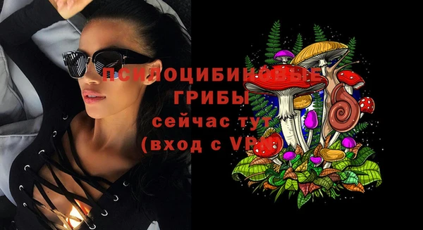 стаф Верхний Тагил