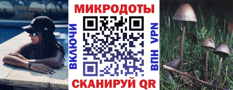 гидра рабочий сайт  как найти   Касли  Псилоцибиновые грибы Magic Shrooms 